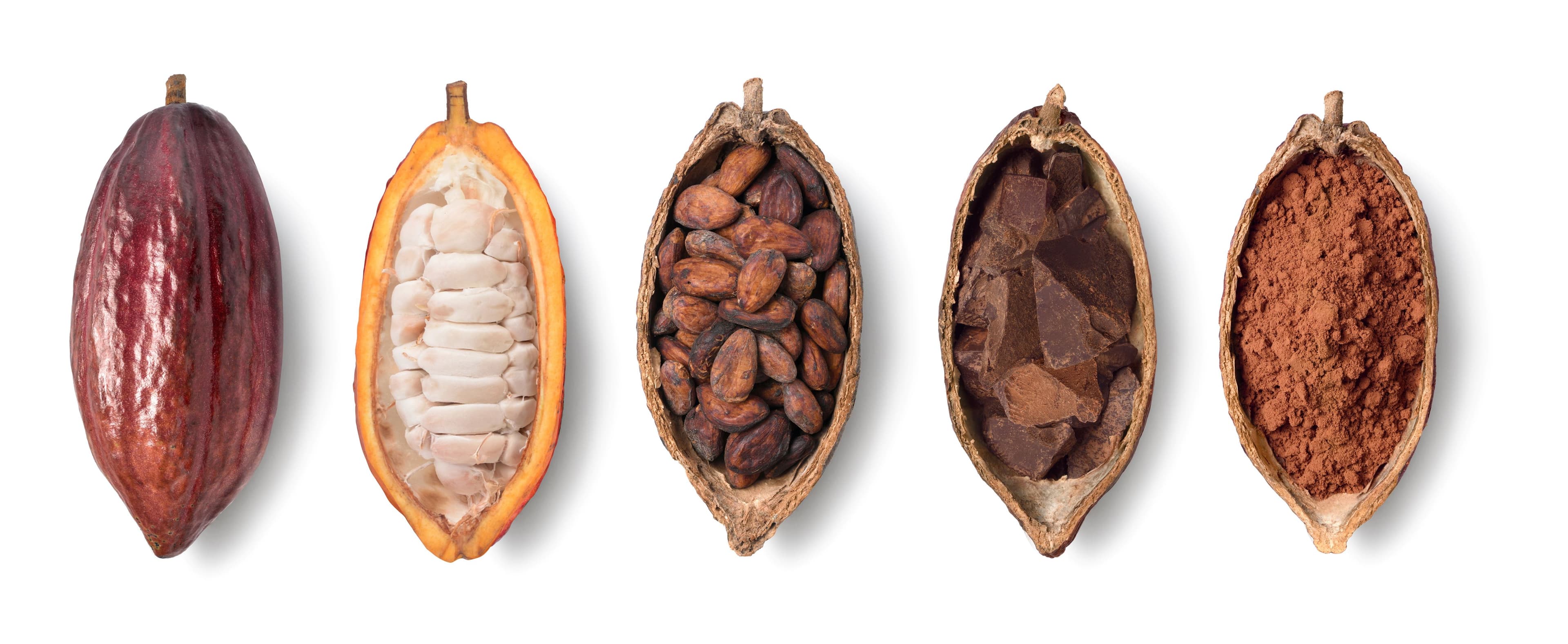 Leon Chocolat bean-to-bar chocolate workshop in Basel